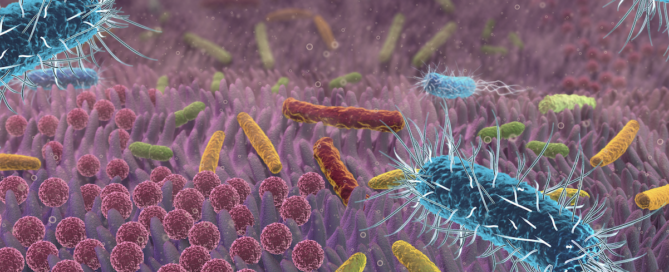 Probiotische Darmflora beim Reizdarmsyndrom