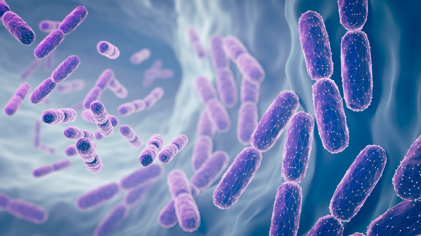 Probiotika bei Reizdarm