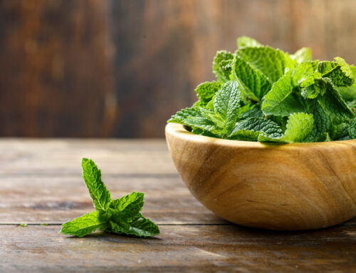 Wie kann Minze bei Reizdarmsyndrom helfen?